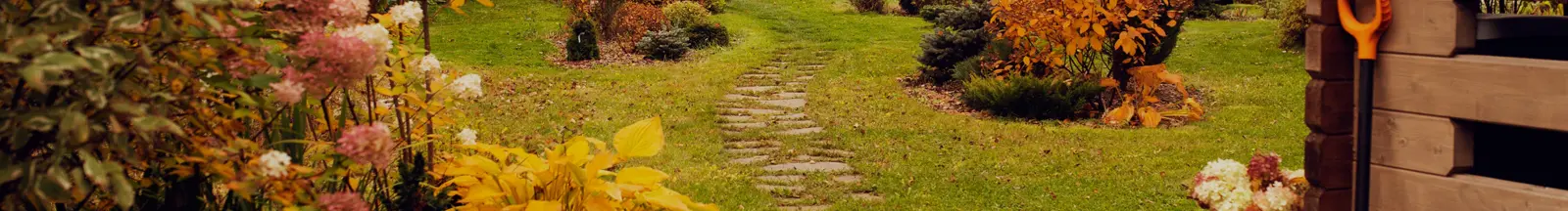 Welcome to Skylark Garden Centre!