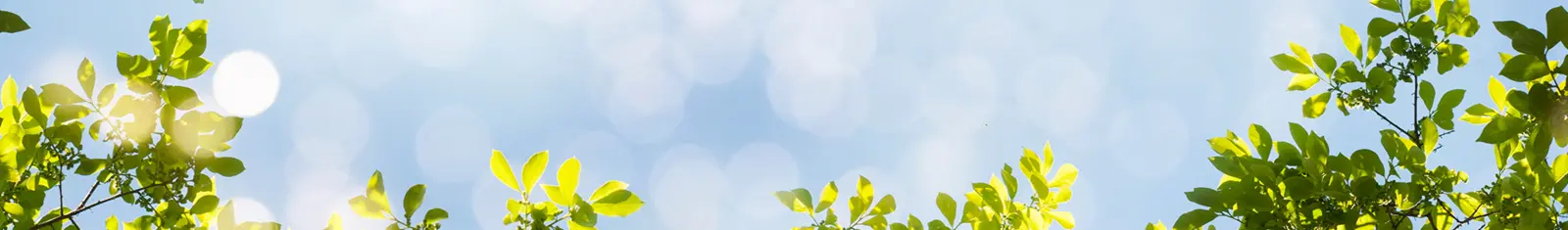 Welcome to Skylark Garden Centre!