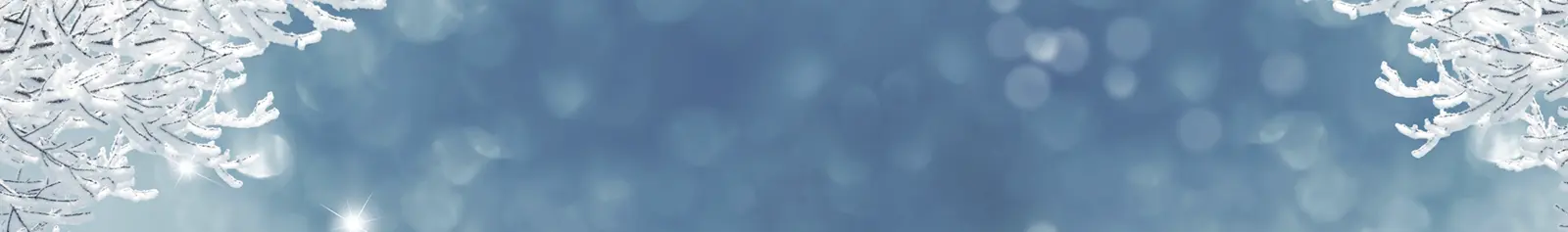 Welcome to Skylark Garden Centre!