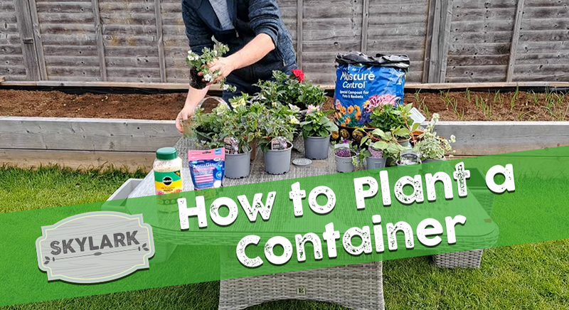 How to Plant Hanging Baskets & Containers