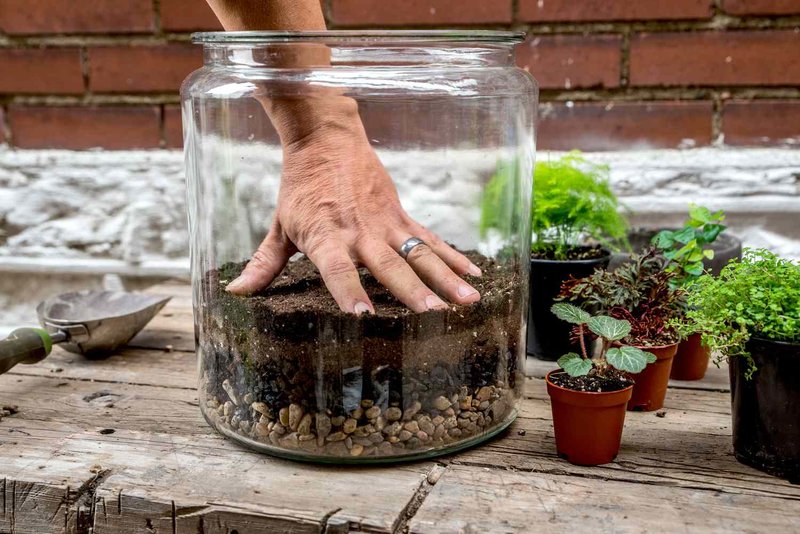 Make a Terrarium Workshop