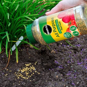 All Purpose Plant Food