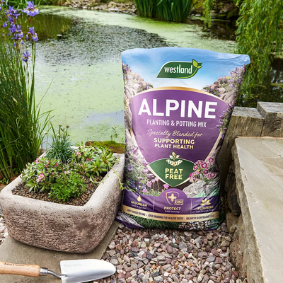 Alpine Planting & Potting Peat Free Mix 25L - image 2