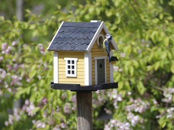 Bird Houses