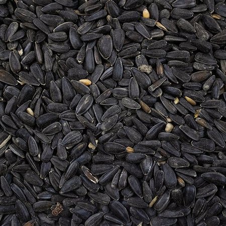 Black Sunflower Seed 12.75kg