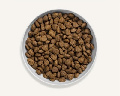 Canagan Free-Range Chicken Dog Food 12kg - image 2