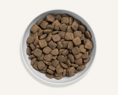 Canagan Grass Fed Lamb Dog Food 2kg - image 2