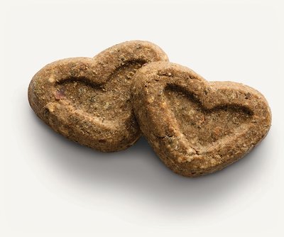 Canagan Salmon Dog Biscuit Bakes 150g - image 2