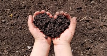 Composts & Barks