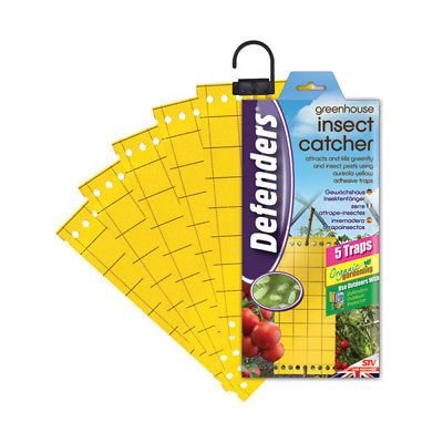 Defenders Greenhouse Insect Catcher (5 Traps)