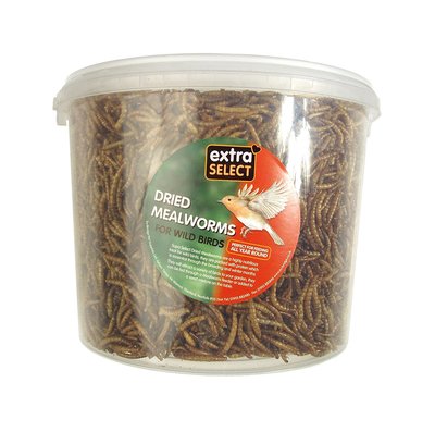 Extra Select Mealworms 5L Bucket