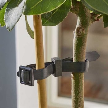 Garden Accessories
