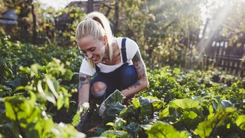 Gardening