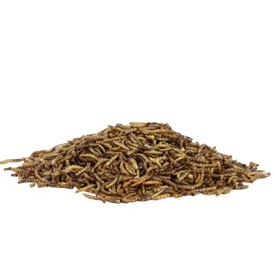 Gardman Mealworm Pouch 1.2kg - image 2