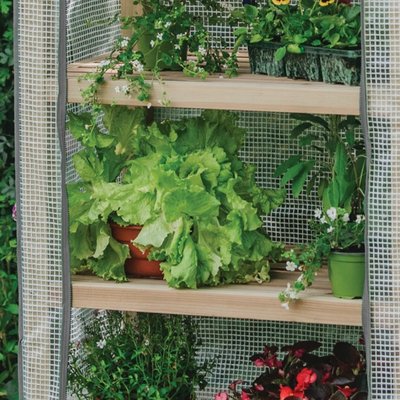 Gardman Premium Wood Growhouse 4 Tier - image 2