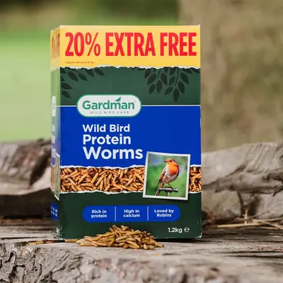 Gardman Protein Worms 1kg (+20% Free) - image 2