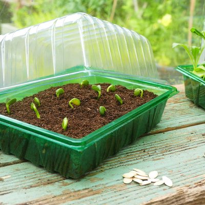 Westland Gro-sure Half Seed Tray Lid - image 2