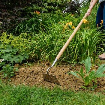 Hoes & Weeding Knifes