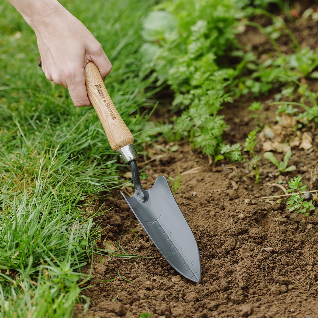 Kent & Stowe Carbon Steel Hand Tranplanting Trowel - Shop