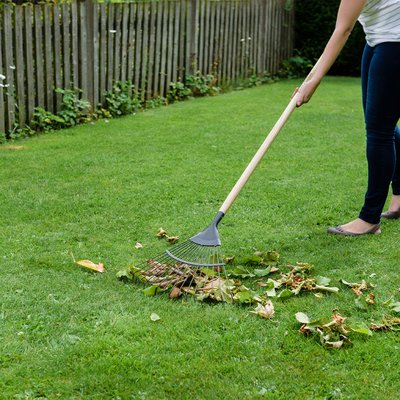 Kent & Stowe Carbon Steel Lawn Leaf Rake - image 3