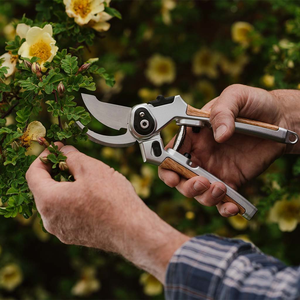 Kent Stowe Eversharp Bypass Secateurs Shop Skylark Garden Centre