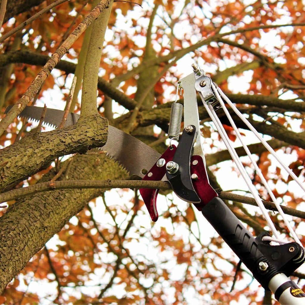 Extendable tree deals pruner