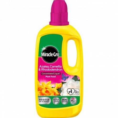 Miracle-Gro Ericaceous Concentrate Plant Food 800ml - image 1