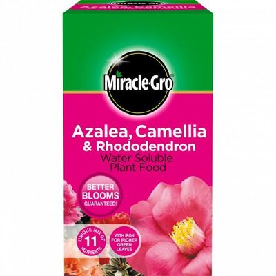 Miracle-Gro Ericaceous Plant Foodc 1kg