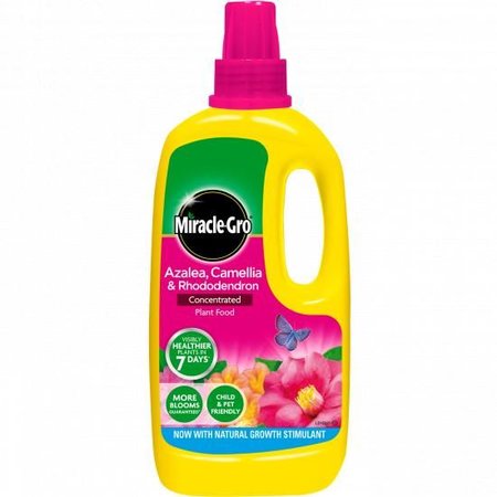 Miracle-Gro Ericaceous Plant Food Liquid 1L