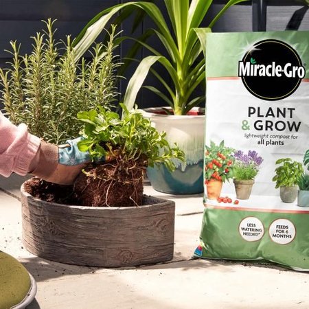 Miracle-Gro Plant & Grow All Purpose Compost 6L - image 2
