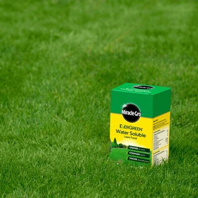 Miracle-Gro Soluble Lawn Food 1kg - image 2