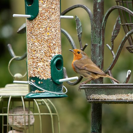 Peckish All Weather Large Seed Feeder - image 2