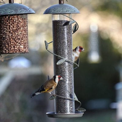 Peckish Secret Garden Spiral Finch Feeder - image 2