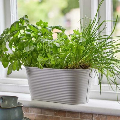 Smart Garden 11" Ribbed Planter - Ivory - image 2