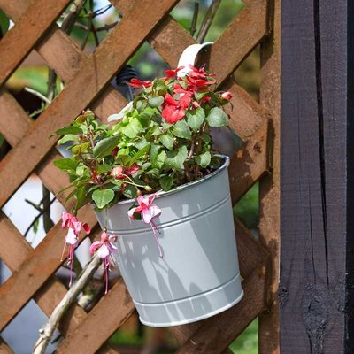 Smart Garden 6” Fence & Balcony Hanging Pot - Ivory - image 2