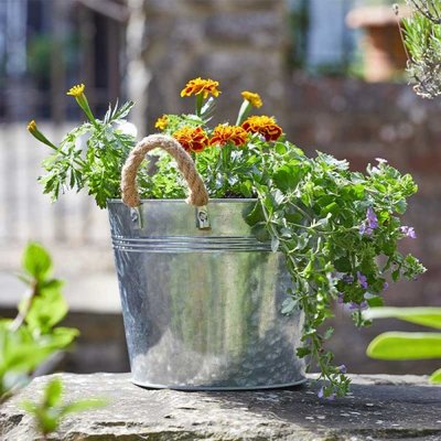 Smart Garden 9" Rustic Rope Handled Planter - image 2