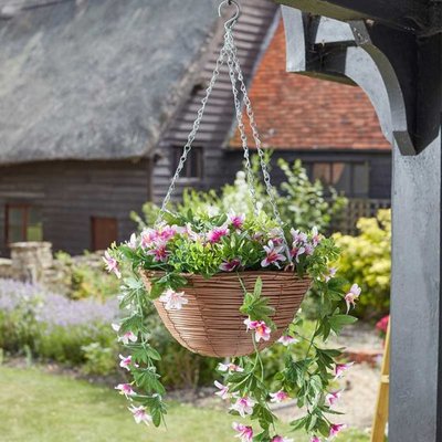 Smart Garden Easy Basket - Star Gazing Lilies 30cm - image 2