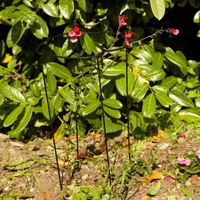 Smart Garden Gro-Links 30cm with 90cm Legs - 4 Pack - image 2