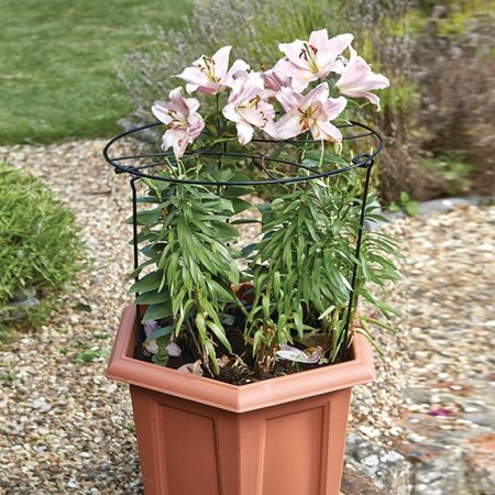 Smart Garden Gro-Rings 30cm with 45cm legs - image 2