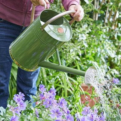 Smart Garden Metal Watering Can - Sage 9L - image 2