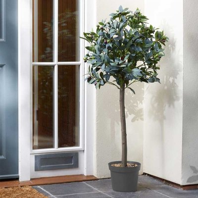 Smart Garden Olive Tree 120cm