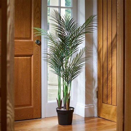 Smart Garden Phoenix Palm 124cm - image 1