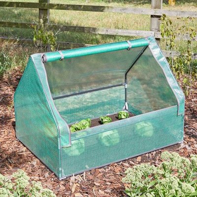 Smart Garden Raised Bed GroZone GroCloche Max - image 2