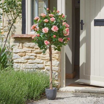 Smart Garden Regent's Roses - Perfect Pink 120cm - image 1