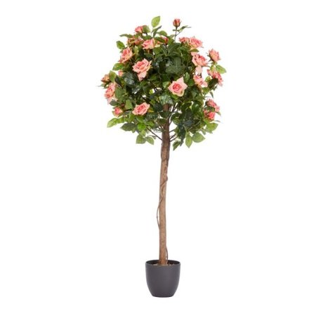 Smart Garden Regent's Roses - Perfect Pink 120cm - image 2