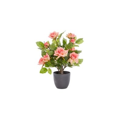 Smart Garden Regent's Roses - Perfect Pink 40cm - image 2