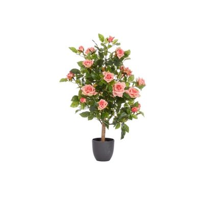 Smart Garden Regent's Roses - Perfect Pink 80cm - image 2