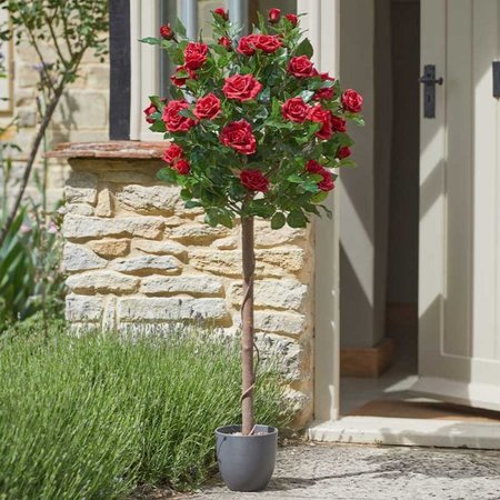 Smart Garden Regent's Roses - Ruby Red 120cm - image 1