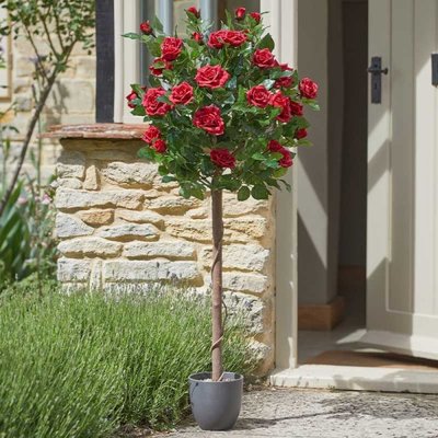 Smart Garden Regent's Roses - Ruby Red 120cm - image 2