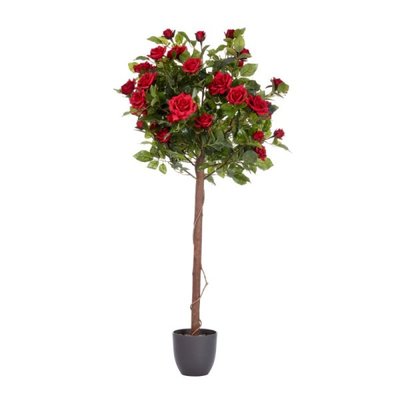 Smart Garden Regent's Roses - Ruby Red 120cm - image 2